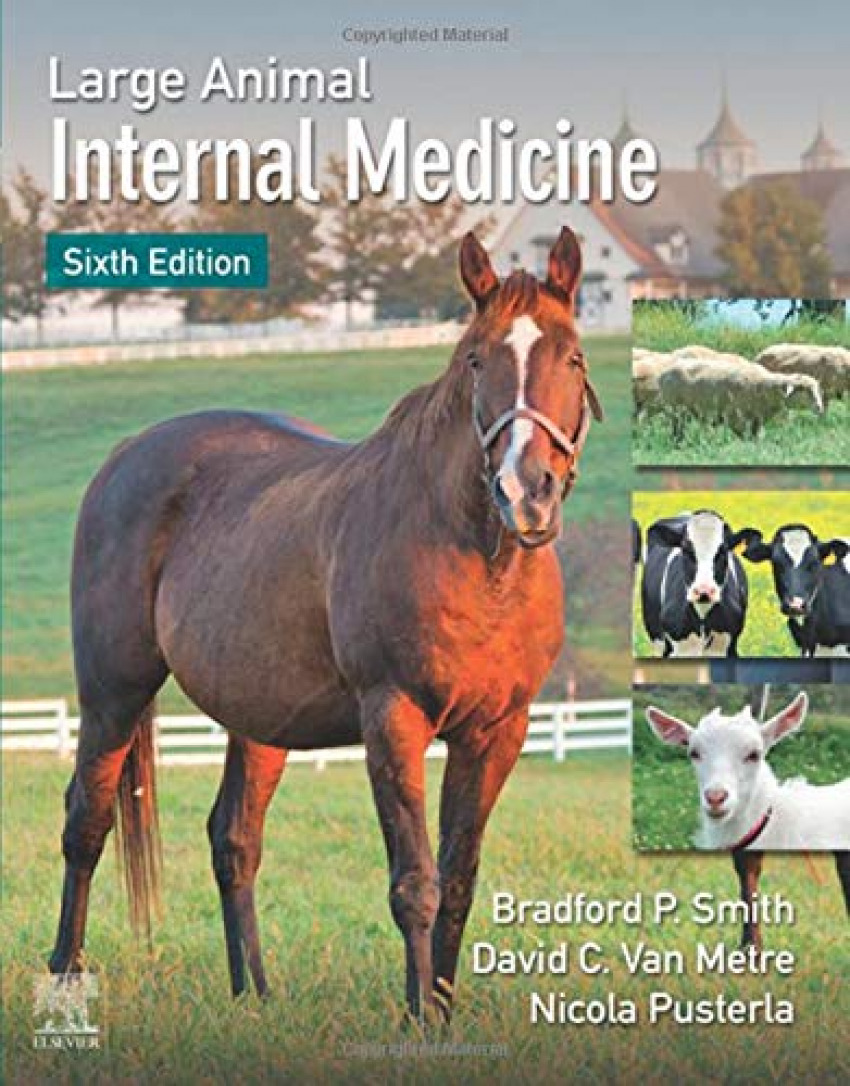 Large animal internal medicine