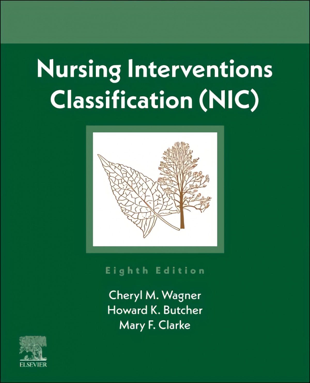 Nursing interventions classification