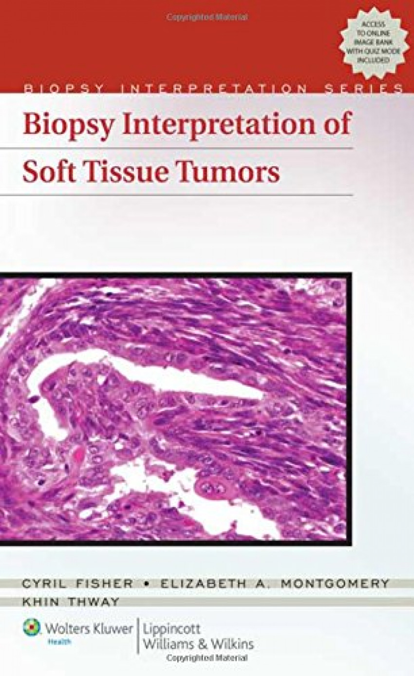 Portada de Biopsy interpretation of soft tissue tumors