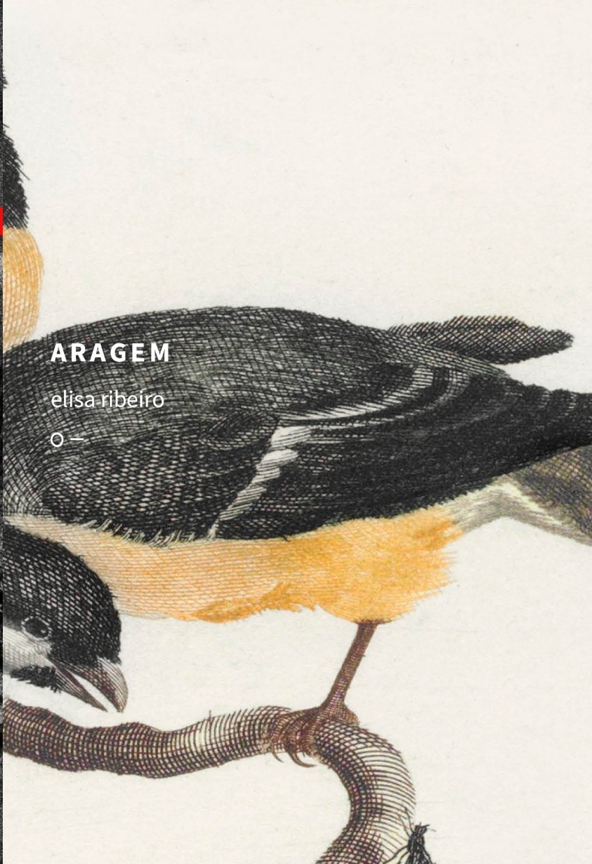 Aragem