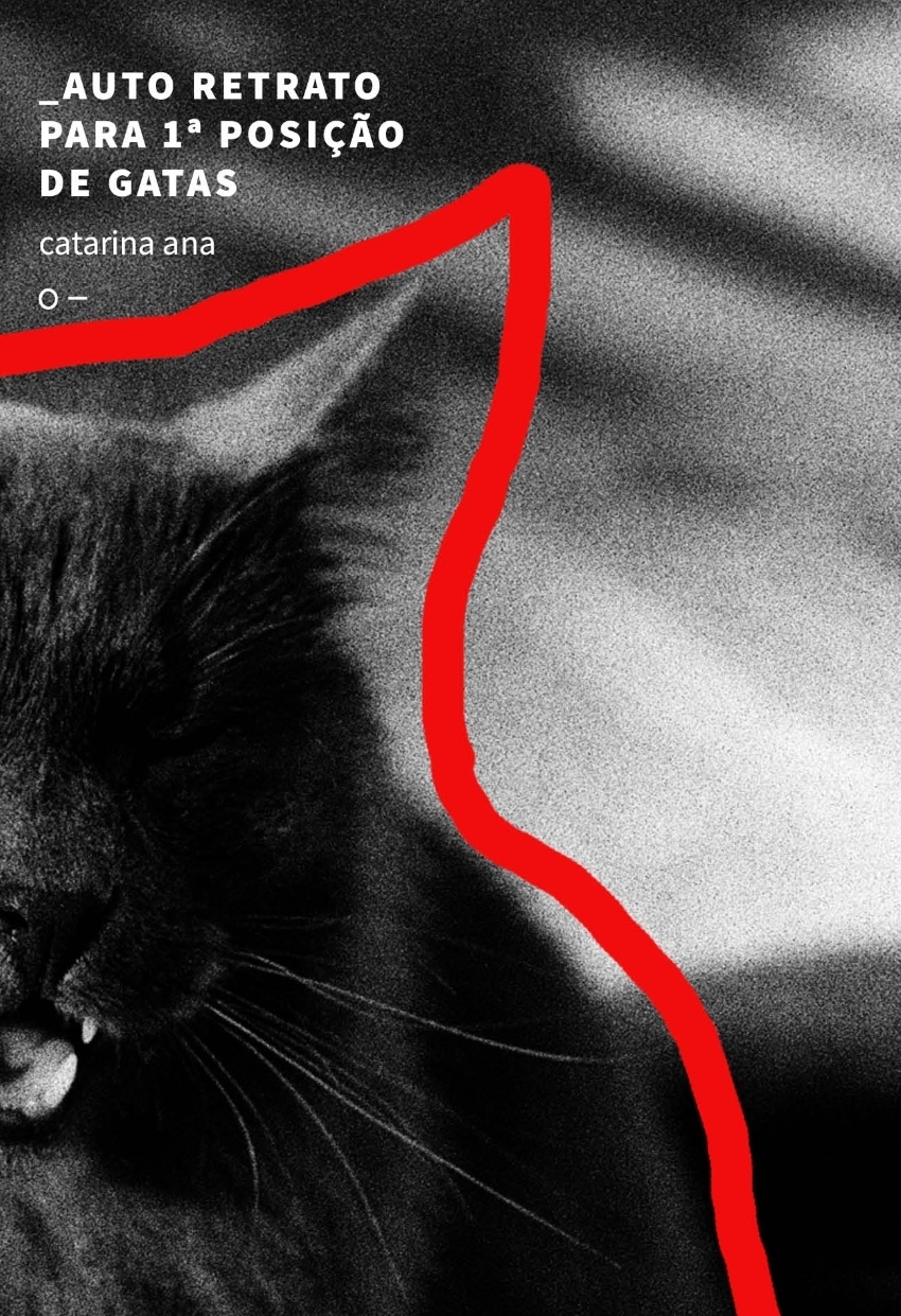 Auto retrato para º posiçao de gatas