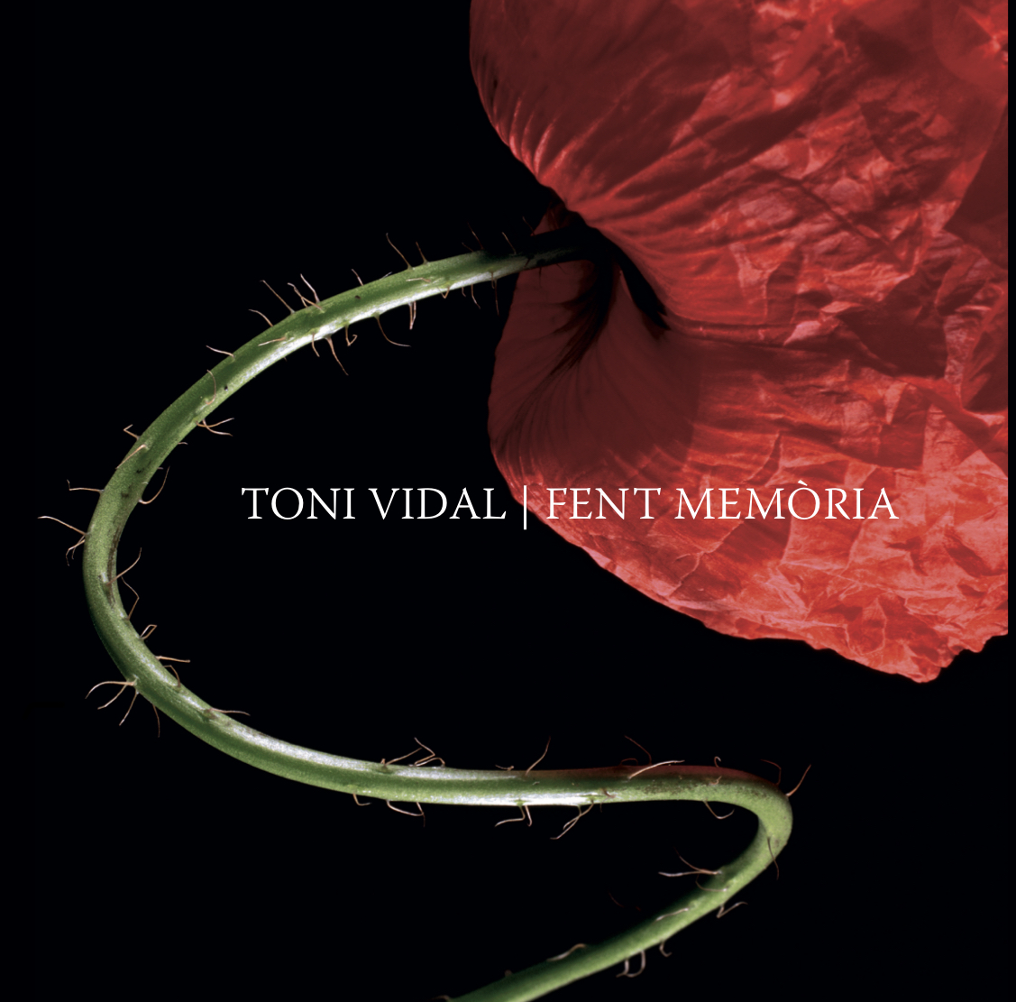 TONI VIDAL. FENT MEMÒRIA