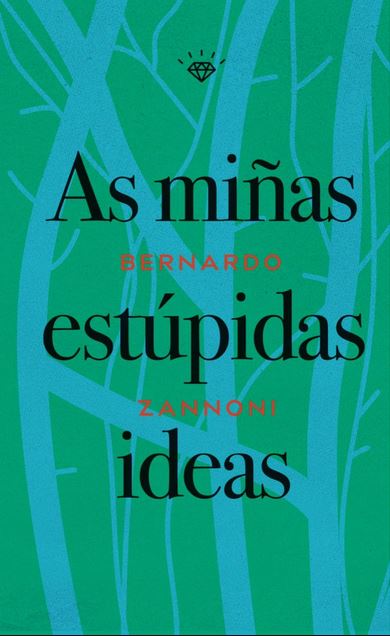 As miñas estúpidas ideas
