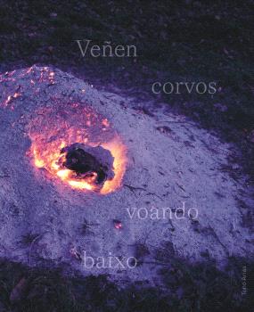 VeÑen corvos voando baixo