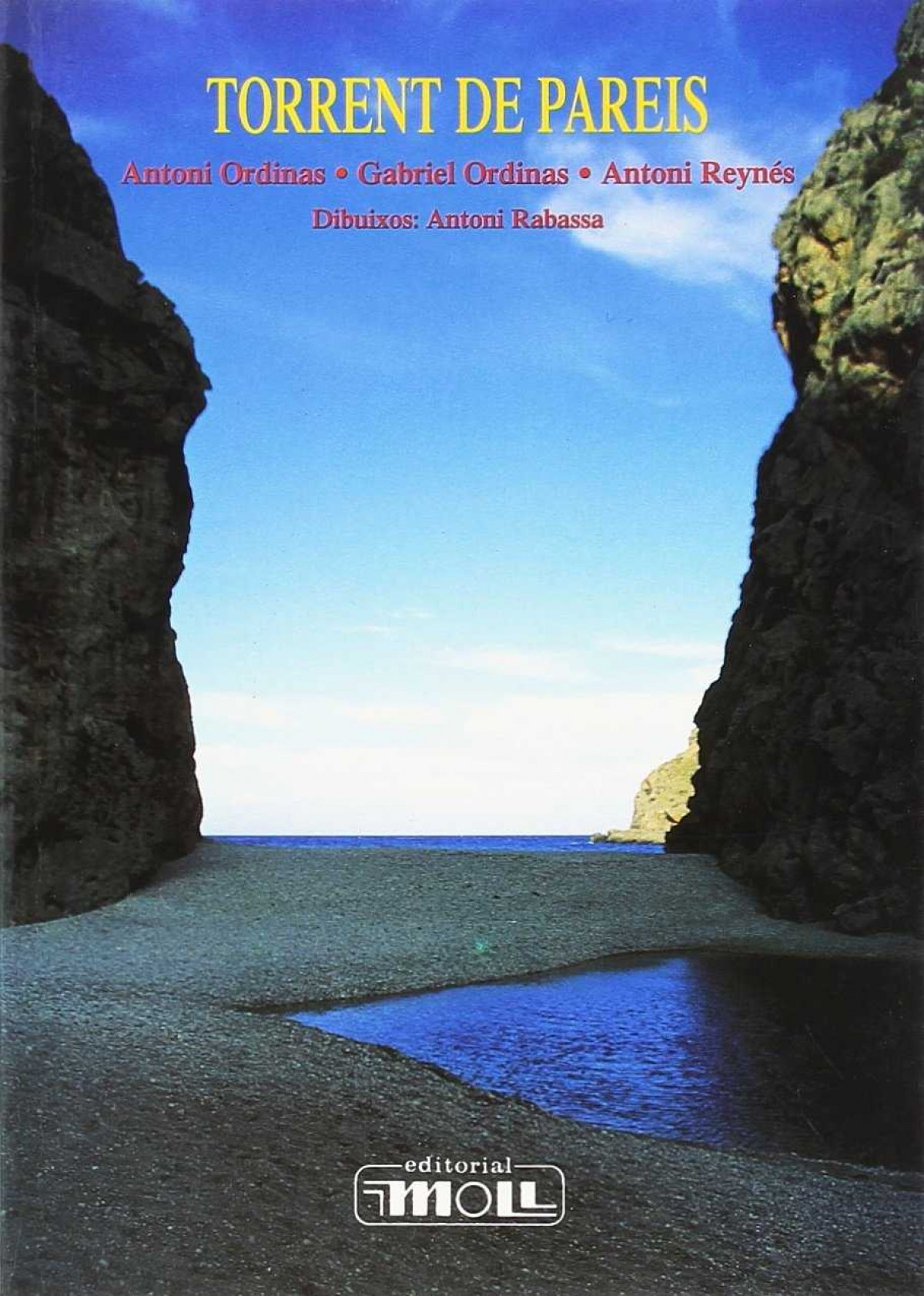 Torrent de pareis