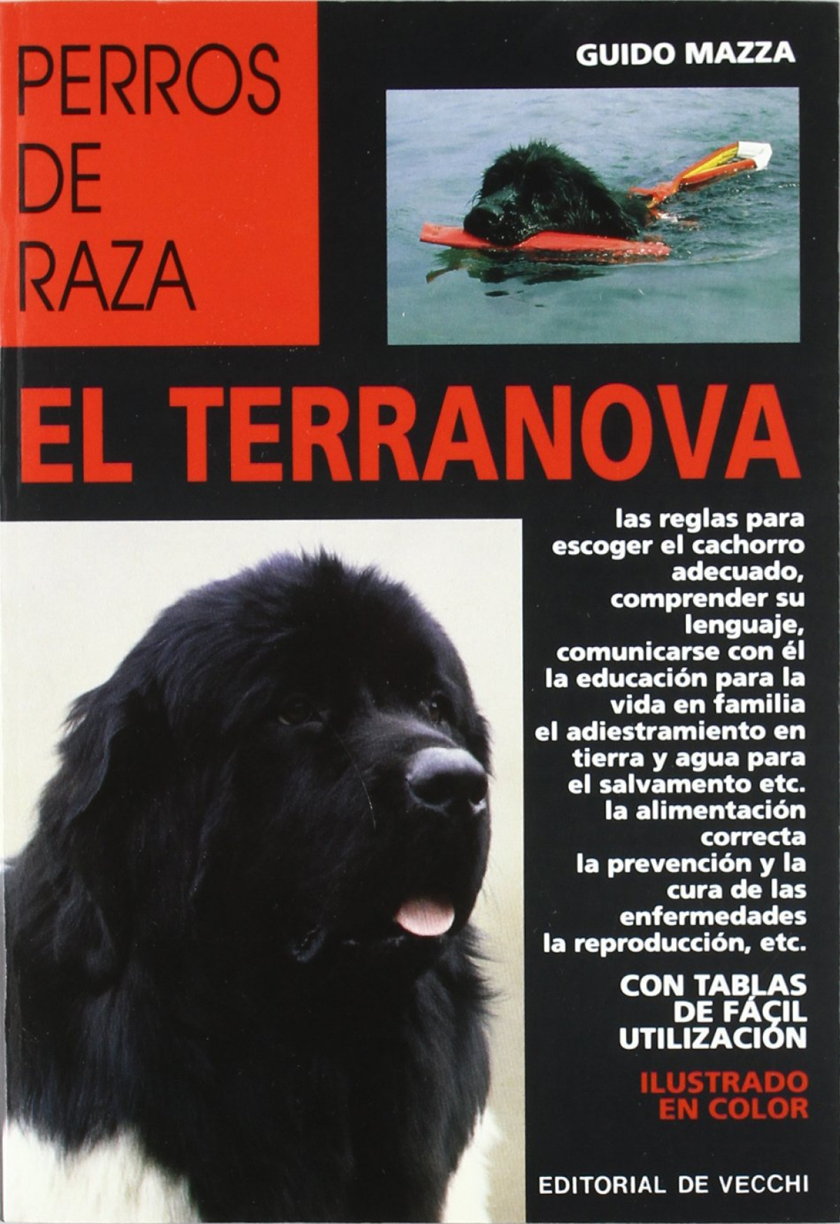 El terranova