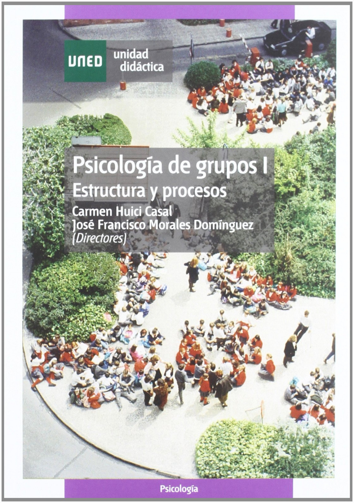 Psicología de grupos I : estructura y procesos