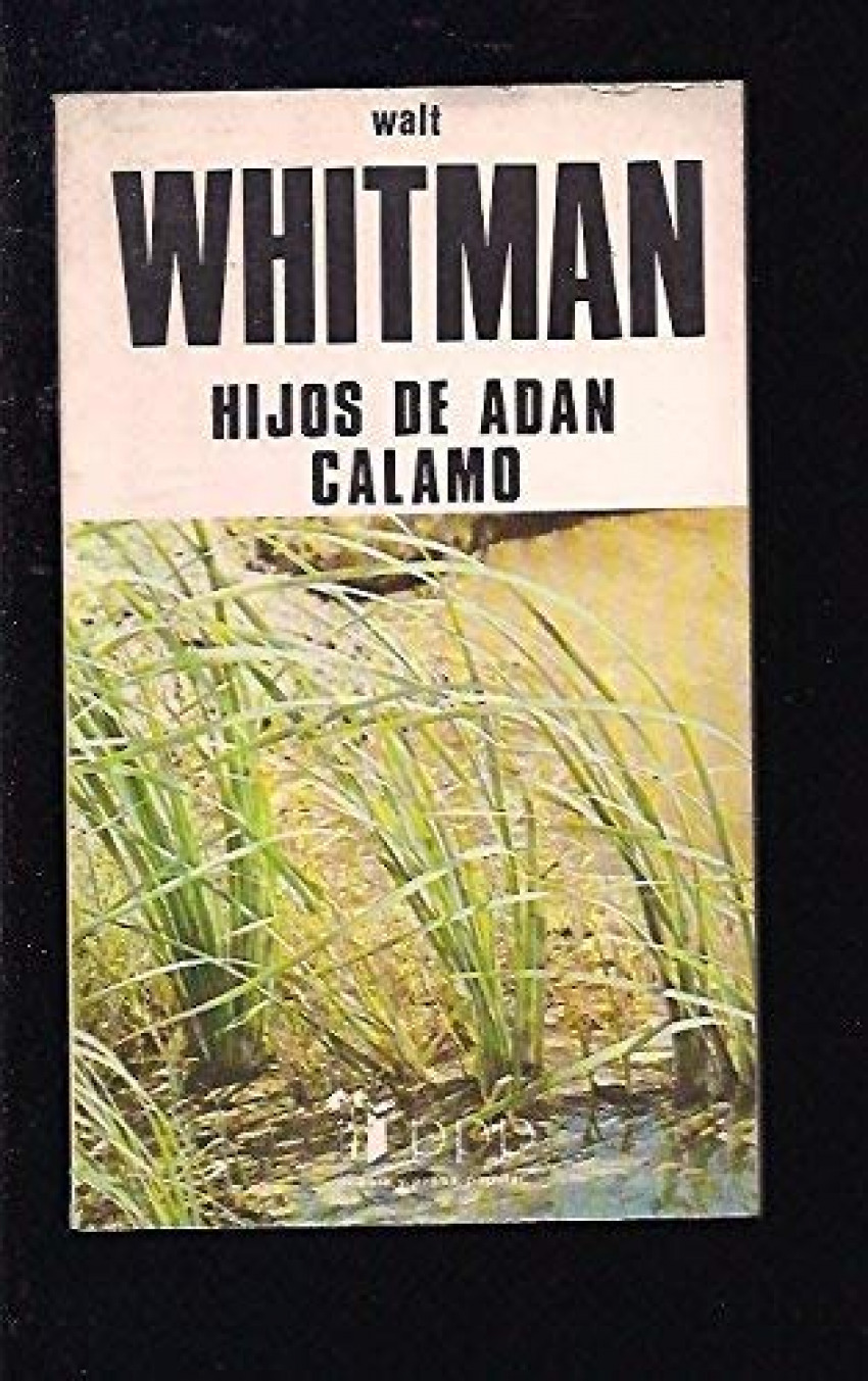 Hijos de adan. calamo