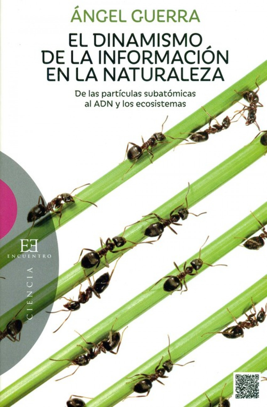 559.El Dinamismo De La Informacion En La Naturaleza DE LAS PARTICULAS
