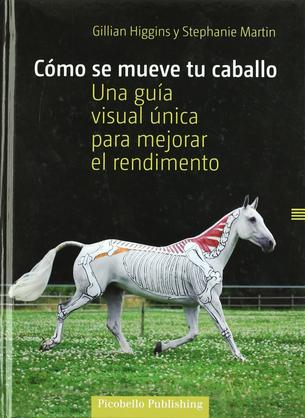 Cómo se mueve tu caballo una guía visual única para mejorar el rendimi