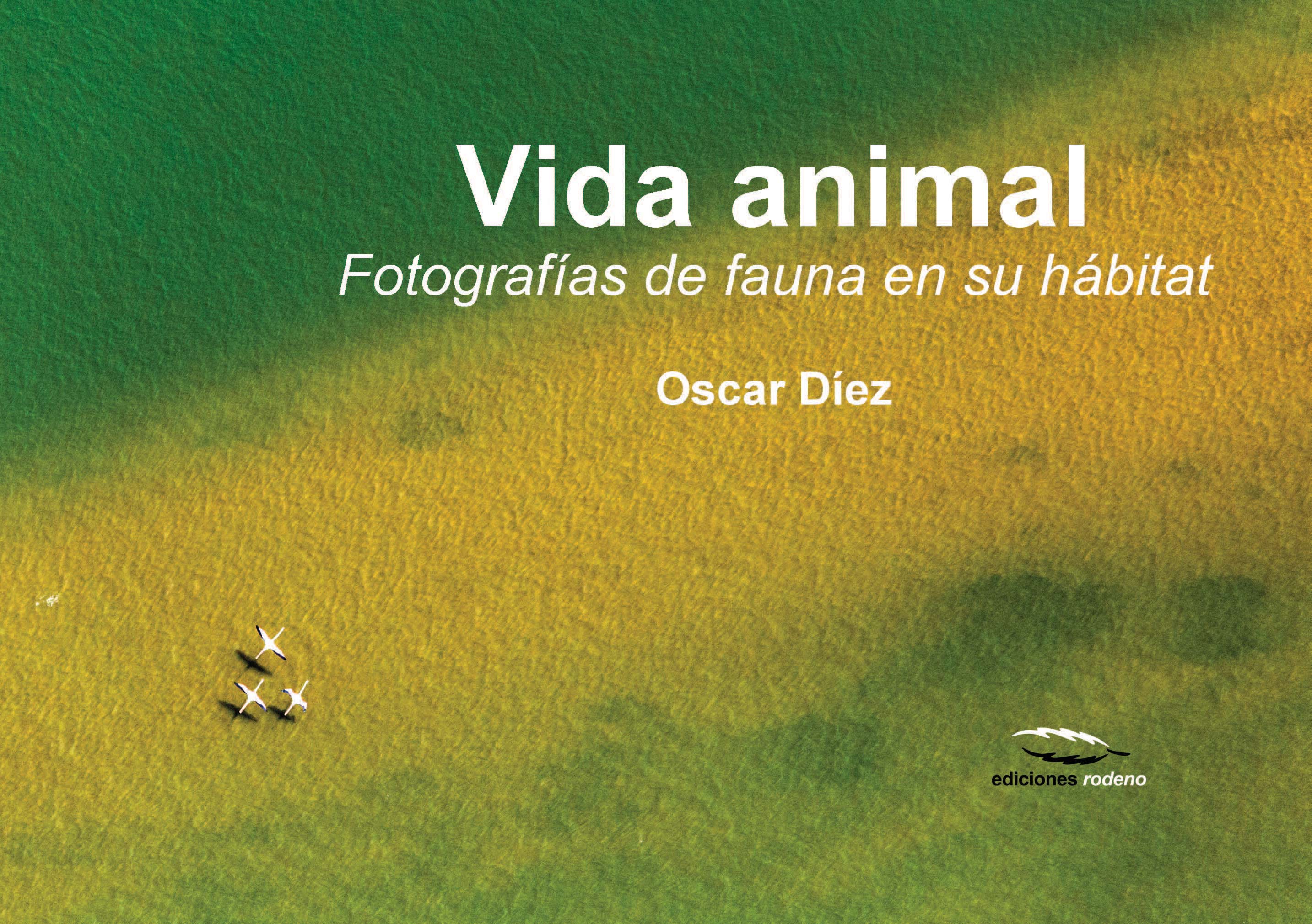 Vida animal Fotografías de fauna en su hábitat