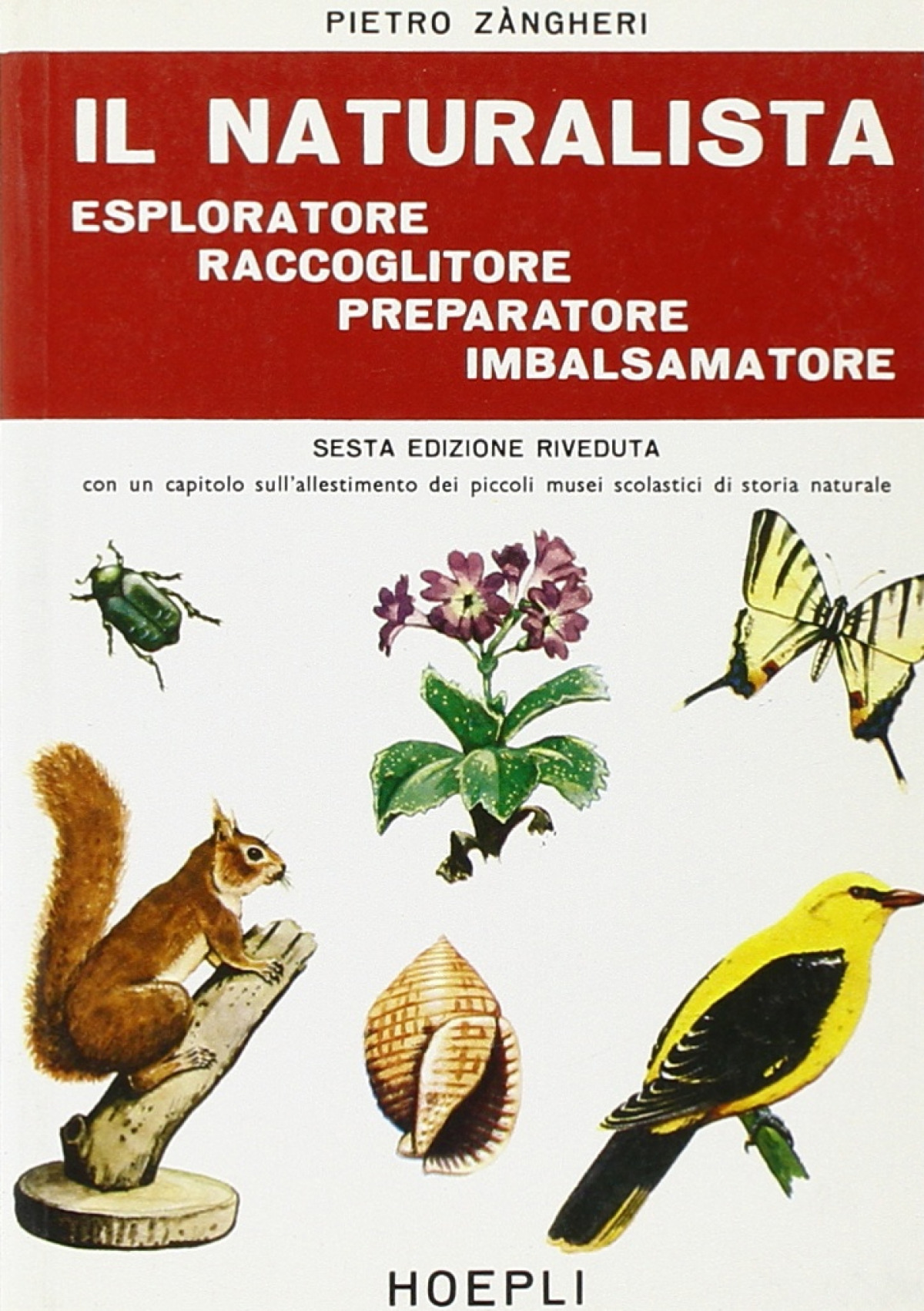 Portada de Il naturalista esploratore, raccoglitore, preparatore, imbalsamatore