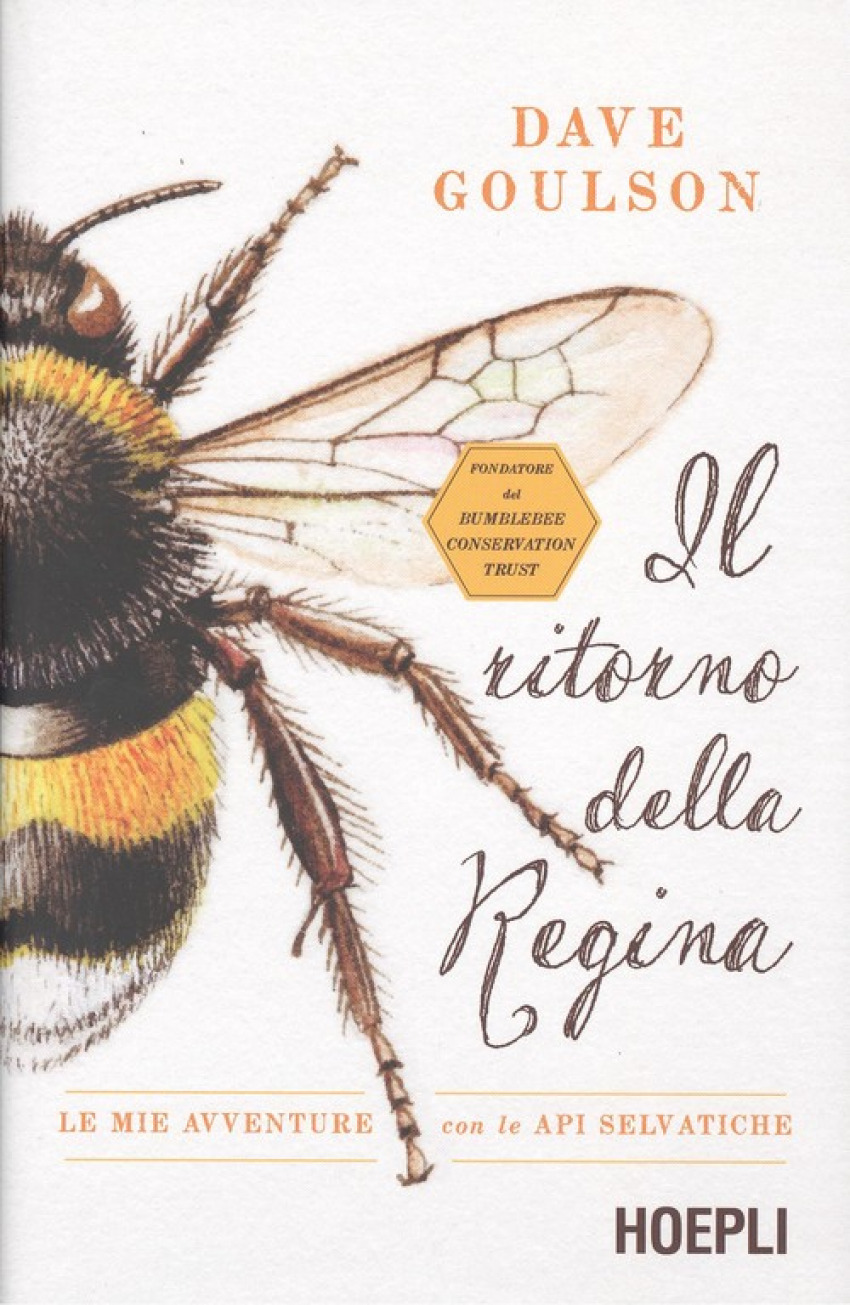 Portada de IL RITORNO DELLA REGINA Le mie aventure con le api selvatiche