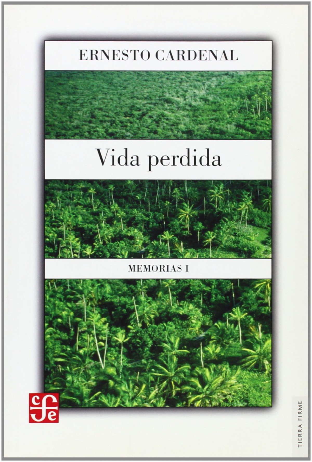 Vida perdida : Memorias I