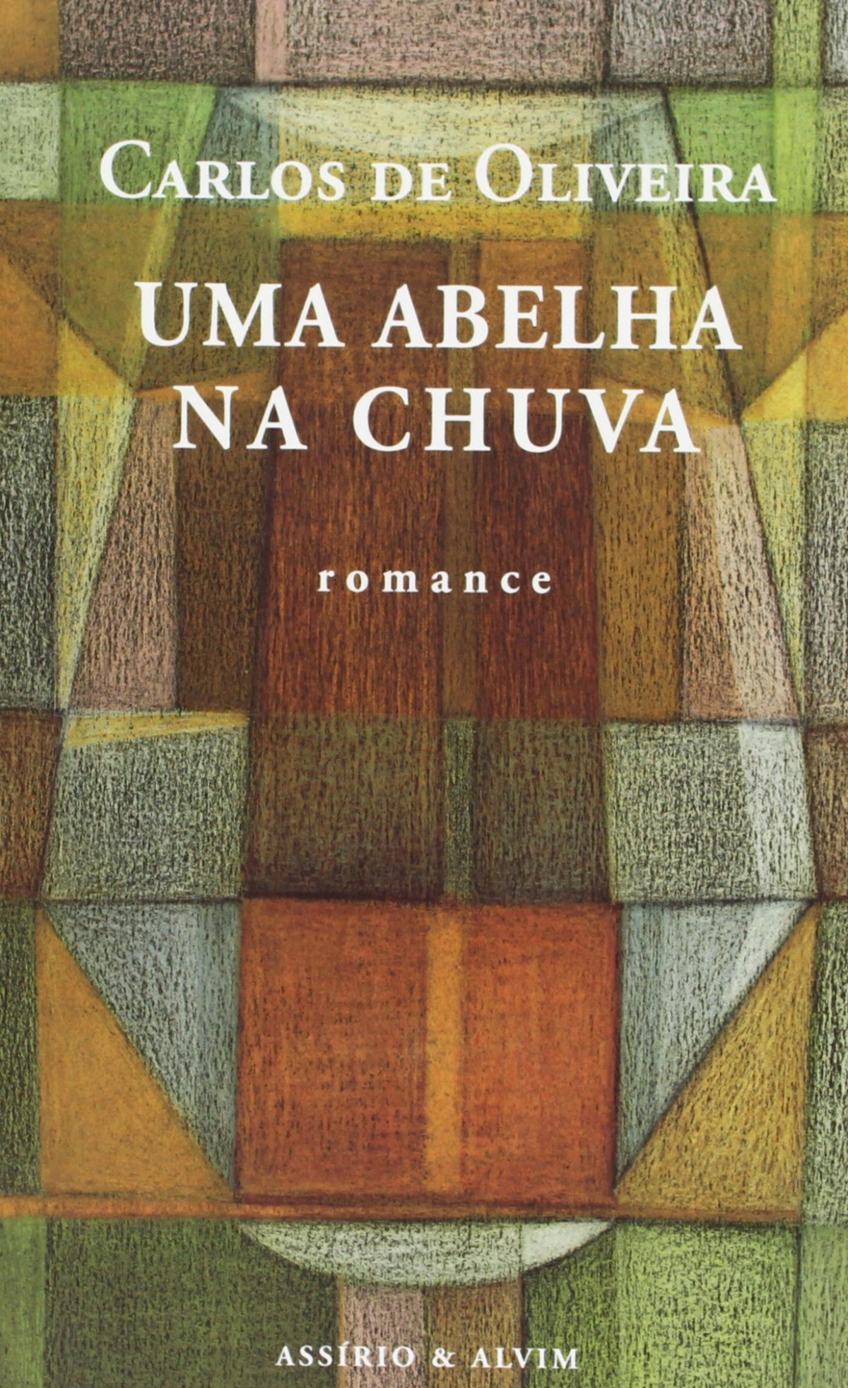 Uma abelha na chuva