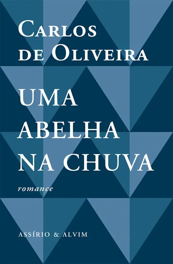 Uma abelha na chuva