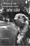 10 Licoes de Vida para Aprender Com o Seu Cao
