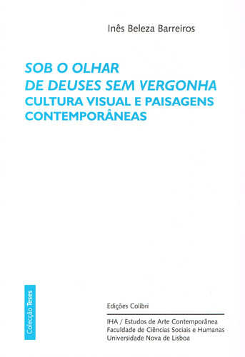 Sob o olhar de deuses sem vergonha - cultura visual e paisagens contem