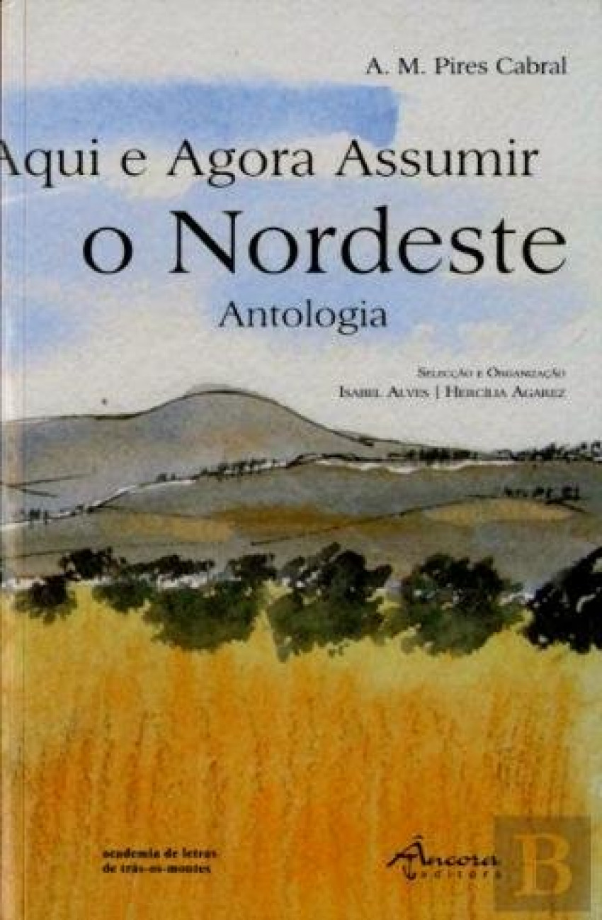 Aqui e Agora Assumir o Nordeste