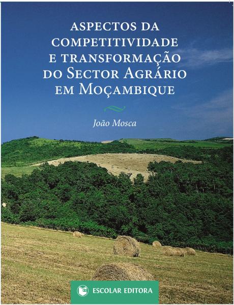 Aspectos da Competitividade e TransformaÇao do Sector Agrário em MoÇam