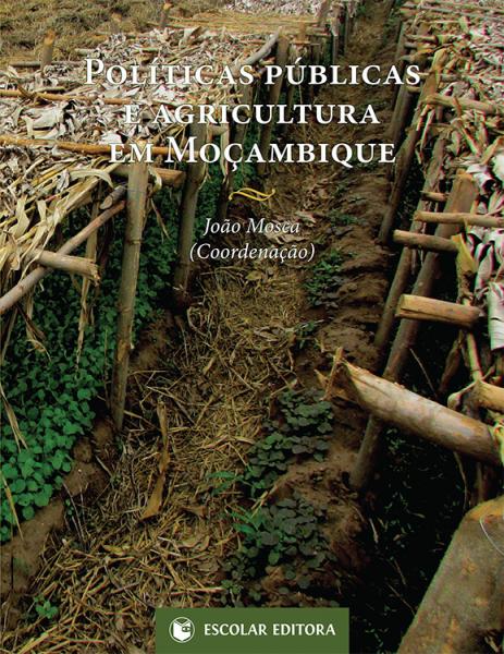 Políticas Públicas e Agricultura em MoÇambique