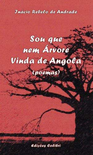 Sou que nem Árvore Vinda de Angola