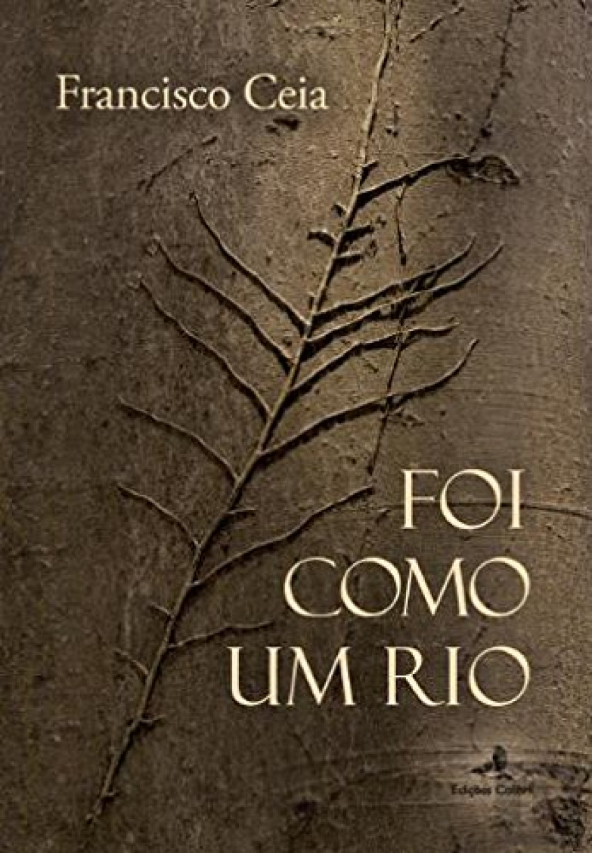 Foi como um rio