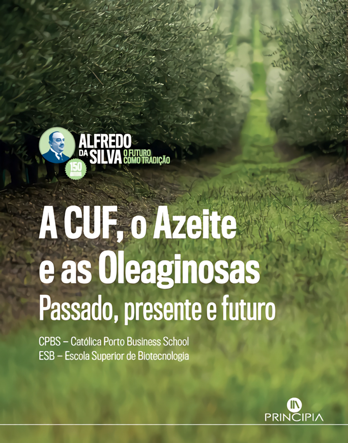 A cuf o azeite e as oleaginosas