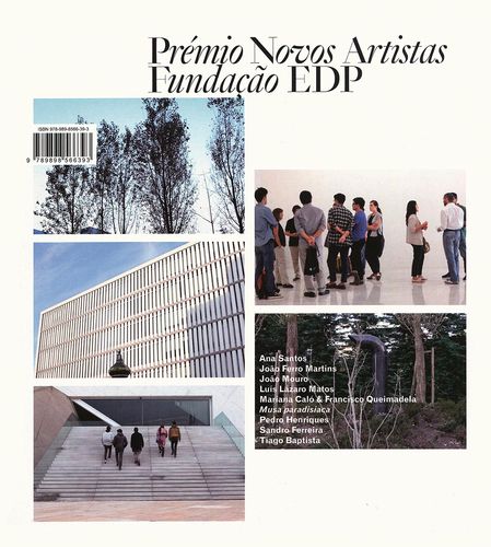 PrÉmio novos artistas fundaÇÃo edp 2013