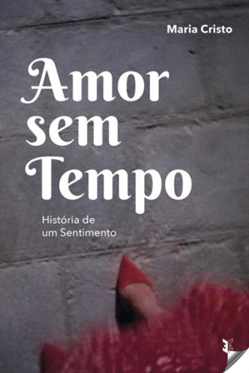 Amor sen tempos historia de um sentimento