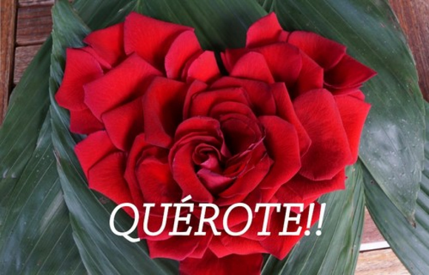 QUÉROTE!