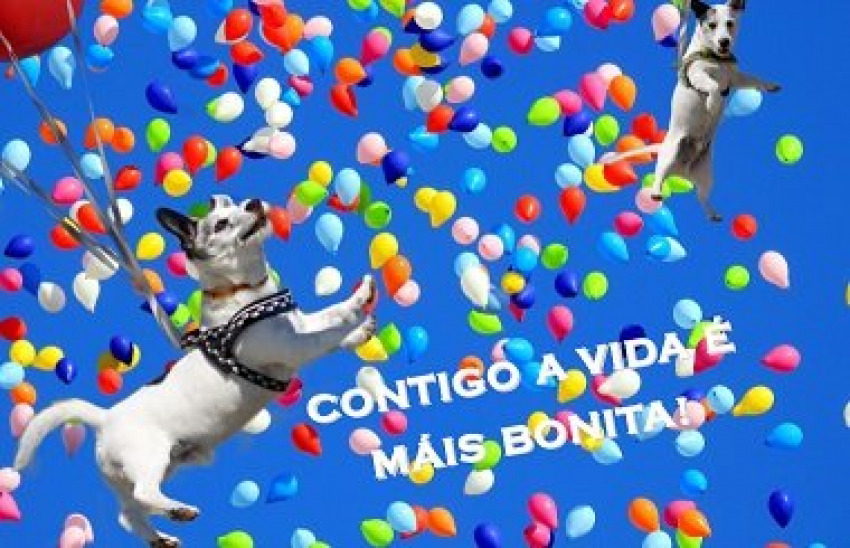 Contigo a vida é máis bonita