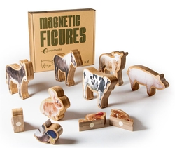 Figuras magneticas