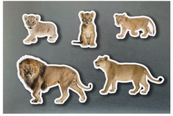 Magneticos familias leones