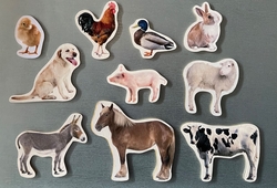 Magneticos granja