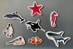Magneticos marinos