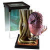 Figura Fwooper Animales Fantasticos