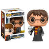 Figura POP Harry Potter Harry with Hedwig Exclusive
