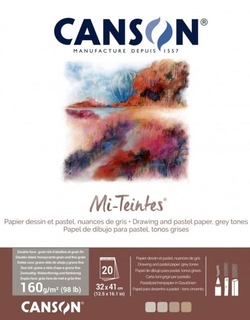 BLOC ENCOLADO CANSON MI-TEINTES 32X41CM 30H 160G TONOS GRIS