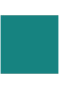 PACK/25 CARTOLINAS IRIS 50X65 185G. VERDE MENTA