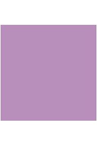PACK/25 CARTOLINAS IRIS 50X65 185G. MALVA