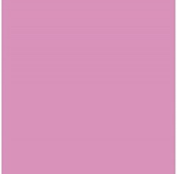 PACK OF 25 IRIS CARDBOARD 50X65 185G GUM PINK