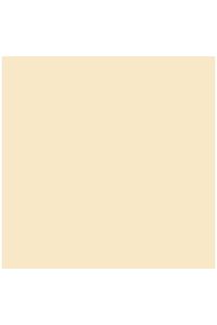 PAQ/25 CARTOLINES IRIS 50X65 185G. COLOR CARNE