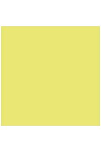 Paq/25 cartulinas iris 50x65 cm. color kiwi 185 g.