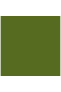PAQ/25 CARTOLINAS IRIS 50X65 185G. VERDE SAFARI