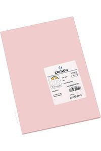 PAQ/50 CARTOLINES IRIS A4 185G. ROSA