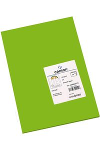 PAQ/50 CARTOLINES IRIS A4 185G. VERD BILLAR