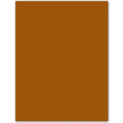 PACK OF 50 IRIS CARDBOARD A4 185G LEATHER