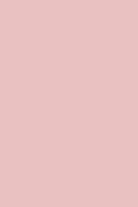 PACK/25 PAPIER CARTON IRIS 50X65 185G. ROSA