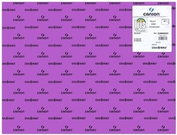 PACK OF 25 IRIS CARDBOARD 50X65 185G PURPLE